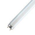 TUBO FLUORESCENTE TLD 18W/830 25 Pz