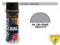   COL. SPRAY GRIGIO MEDIO RAL 7001 