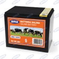 BATTERIA 9V 90Ah X RECINTO ELETTRIF.