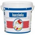 Idropittura Lavab. Trasp. Luccciola  Alto Punto di Bianco