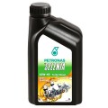 OLIO SELENIA 10W-40 1Lt X DIESEL