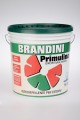   PRIMULINA BASE P  15 Lt