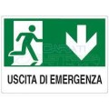 CARTELLO USC.EMERG.GIU'PVC 30x20