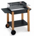 BARBECUES EXCURSION CARB. 60x44x88H